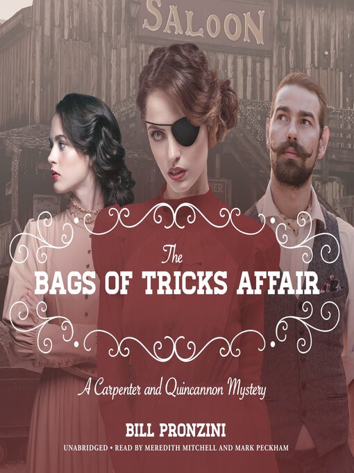 Cover image for The Bags of Tricks Affair